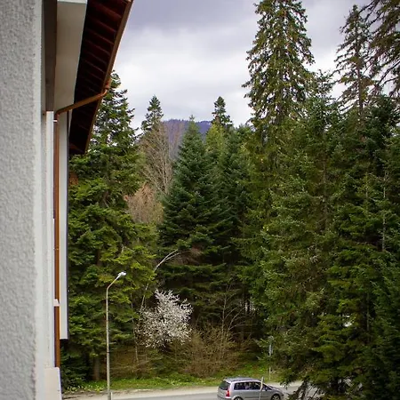 Daire Gardens Borovets