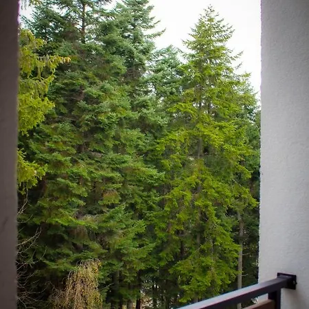 Gardens * Borovets